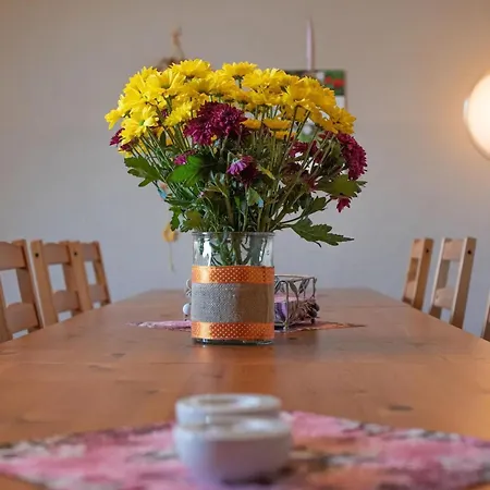 Brocken-blick Hébergement de vacances *