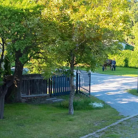 Brocken-blick * Hüttenrode